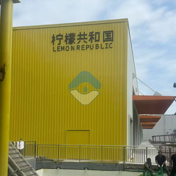 水解酸化+多级AO+混凝沉淀设备，安岳400吨洗柠檬